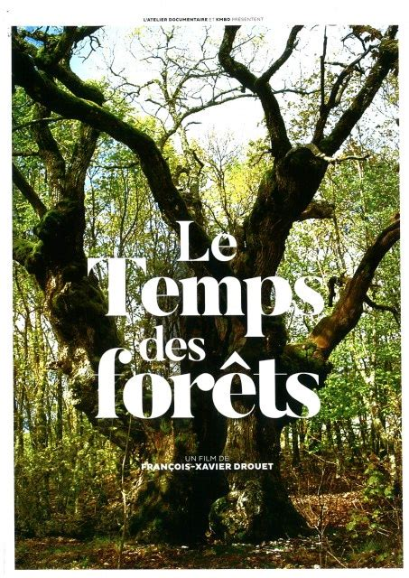 Lire la suite à propos de l’article “Le Temps des Forêts”, samedi 18 octobre, 18h, à Bréhal